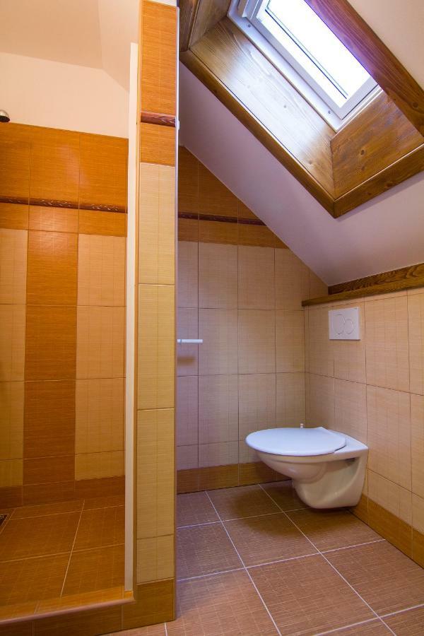 Apartment Rokys Rokytnice nad Jizerou Extérieur photo